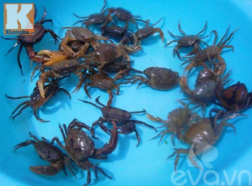 Cách nấu canh cua mồng tơi thanh mát ngày hè
