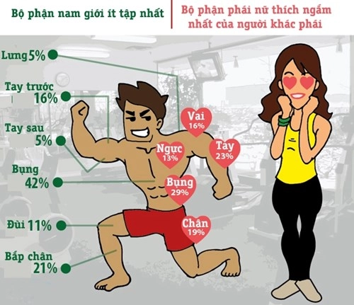 Các cô gái thích ngắm gì nhất trên cơ thể 1 chàng trai tập gym