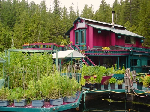 Nhà vườn tuyệt đẹp trên vịnh ở canada 