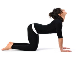 6 động tác tập chuyên trị đau lưng