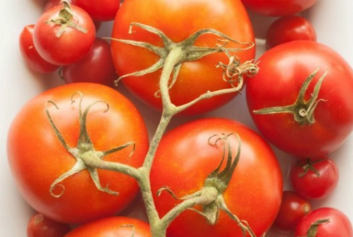 Vì sao không nên để cà chua trong tủ lạnh 
