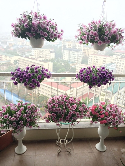 Ngắm ban công tầng 18 ngập hoa rực rỡ ở hà nội