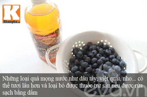 Bí quyết bảo quản thực phẩm ngày nắng nóng không lo bị hỏng