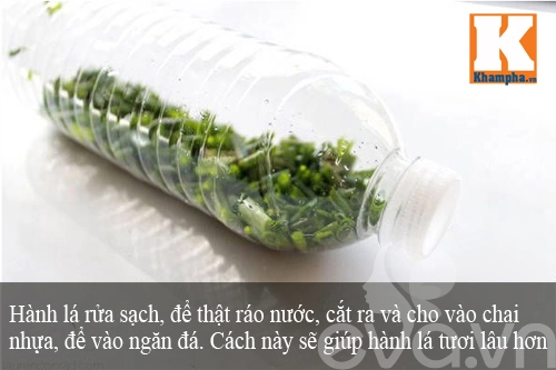 Bí quyết bảo quản thực phẩm ngày nắng nóng không lo bị hỏng