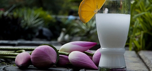 bột sắn dây giúp da sáng mịn ngực căng tràn