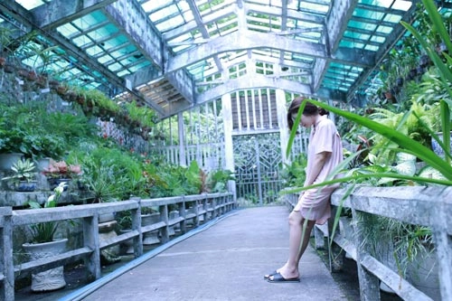 Thanh lịch và phóng khoáng cùng váy sơ mi như các fashionista