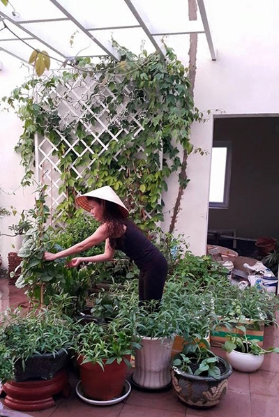 Các sao ở nhà chục tỷ vẫn thích có vườn rau tự trồng