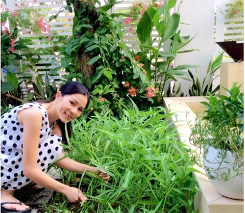 Các sao ở nhà chục tỷ vẫn thích có vườn rau tự trồng