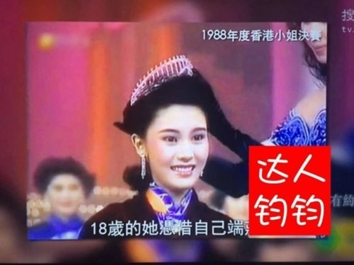 Hoa hậu đẹp nhất lịch sử hong kong và 2 lần mang tiếng hồ li