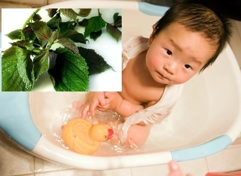 Trẻ bị rôm sảy tắm lá gây hại