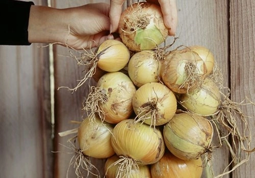 8 loại rau củ quả tuyệt đối không để trong tủ lạnh