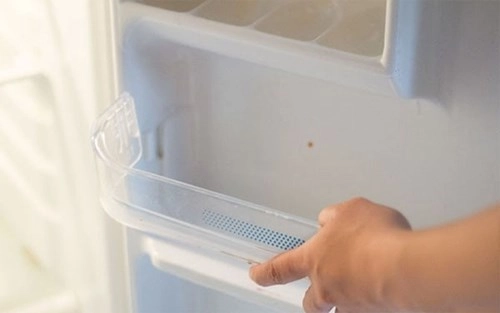 Chỉ cần giữ vệ sinh tủ lạnh thì không phải lo ngộ độc thực phẩm