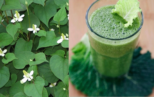 Cách giảm mỡ bụng bằng rau củ trong 1 tuần nhanh nhất