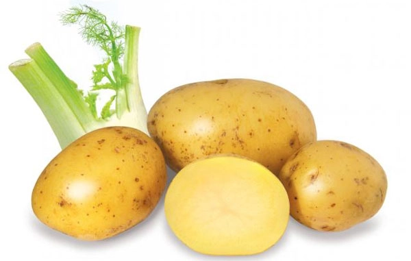 Cách làm đẹp da đặc trưng của các nước trên thế giới