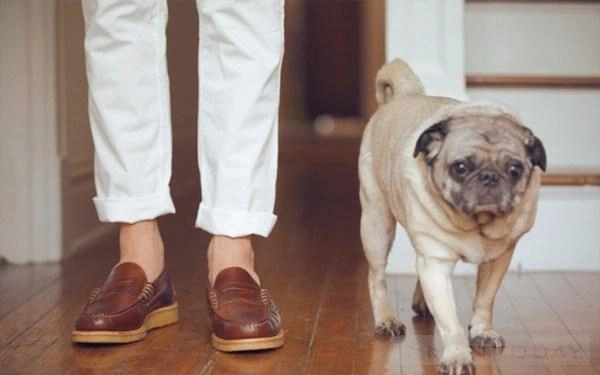 Mẹo giúp không đau chân khi dùng giày mới bạn nên biết