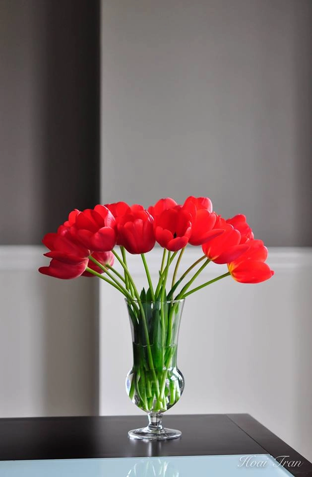 Tài cắm hoa tulip của mẹ bầu việt