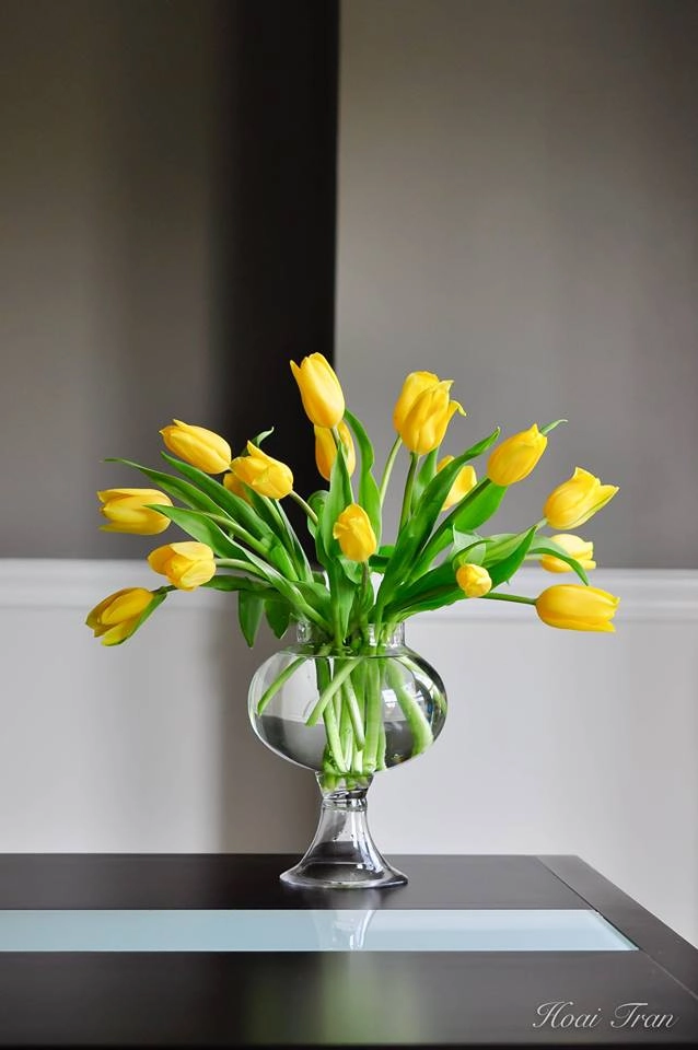 Tài cắm hoa tulip của mẹ bầu việt
