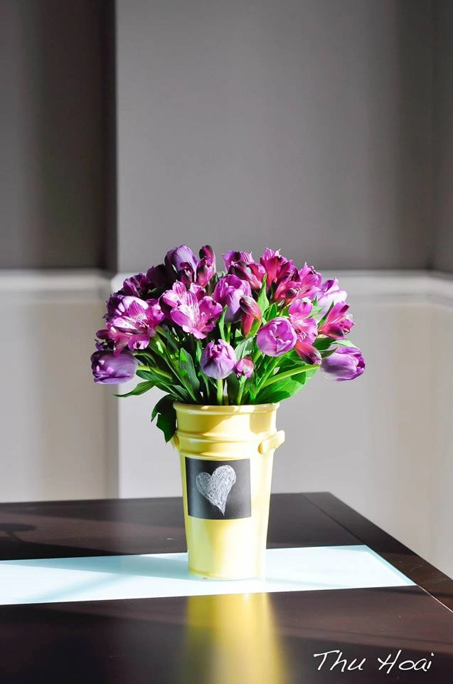 Tài cắm hoa tulip của mẹ bầu việt