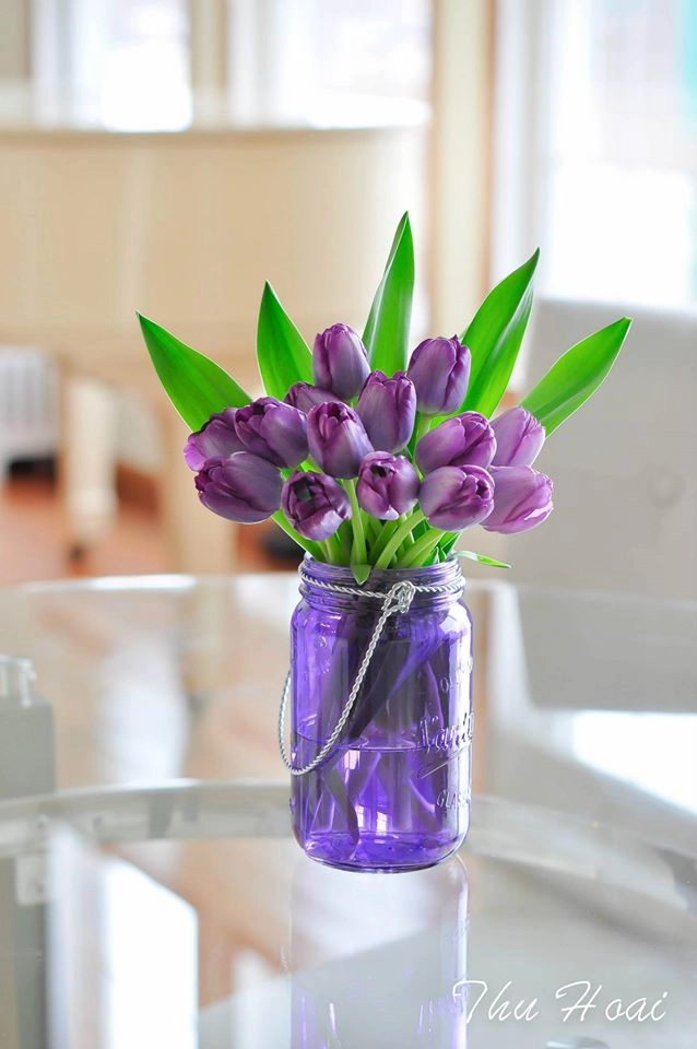 Tài cắm hoa tulip của mẹ bầu việt