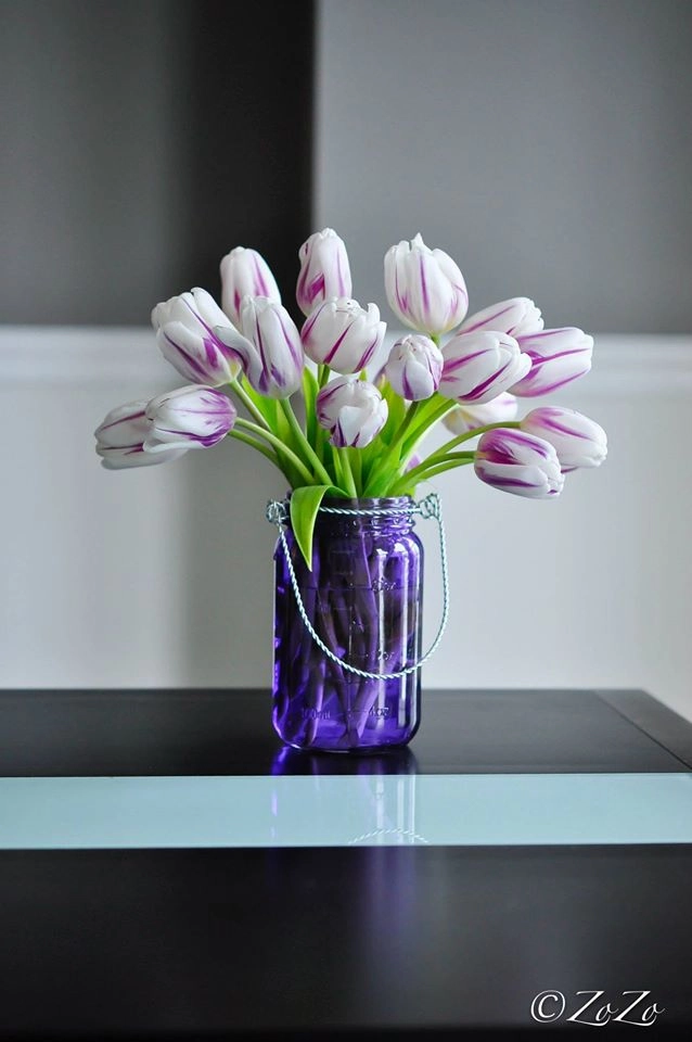 Tài cắm hoa tulip của mẹ bầu việt